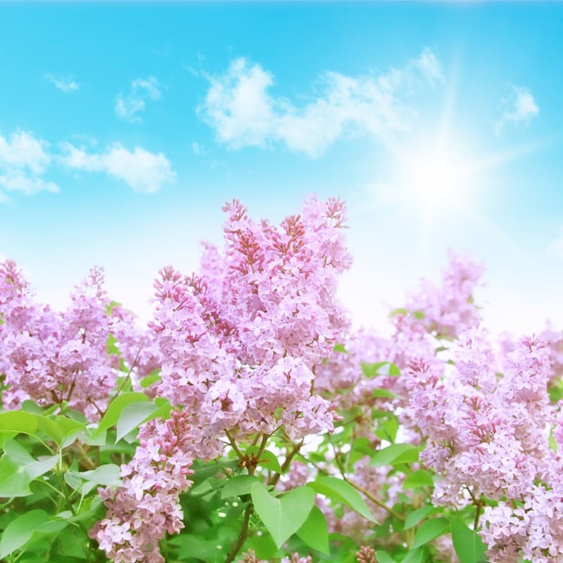 <span  class="uc_style_uc_tiles_grid_image_elementor_uc_items_attribute_title" style="color:#ffffff;">2398</span>