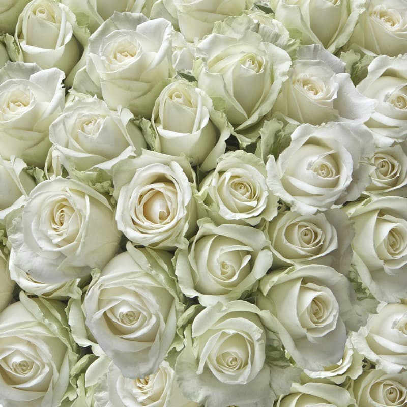 <span  class="uc_style_uc_tiles_grid_image_elementor_uc_items_attribute_title" style="color:#ffffff;">2399</span>