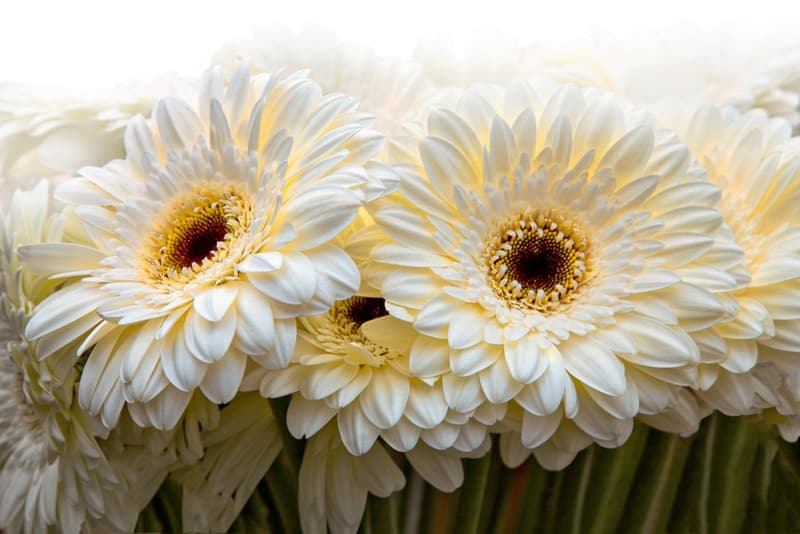 <span  class="uc_style_uc_tiles_grid_image_elementor_uc_items_attribute_title" style="color:#ffffff;">2402</span>