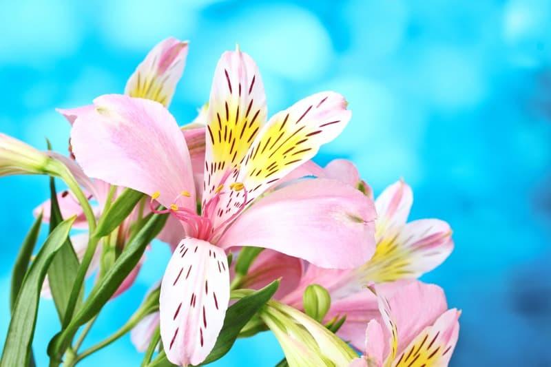 <span  class="uc_style_uc_tiles_grid_image_elementor_uc_items_attribute_title" style="color:#ffffff;">2403</span>