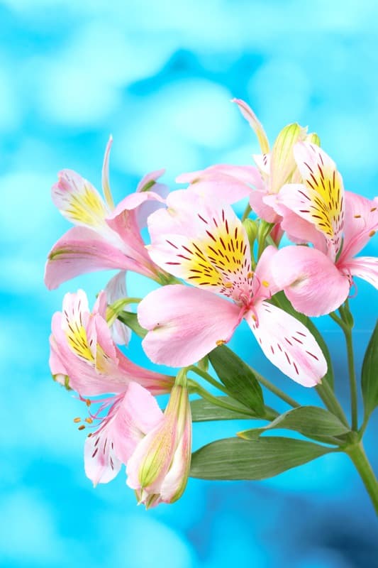 <span  class="uc_style_uc_tiles_grid_image_elementor_uc_items_attribute_title" style="color:#ffffff;">2404</span>