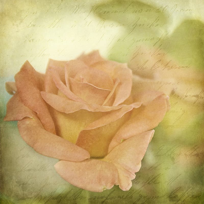 <span  class="uc_style_uc_tiles_grid_image_elementor_uc_items_attribute_title" style="color:#ffffff;">2413</span>
