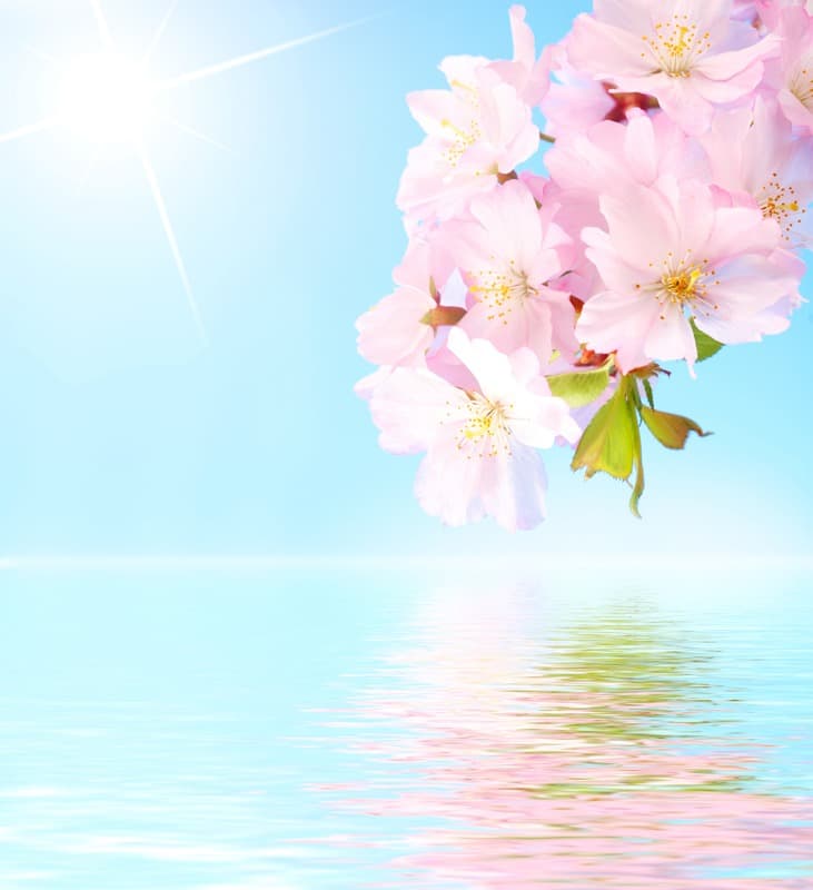 <span  class="uc_style_uc_tiles_grid_image_elementor_uc_items_attribute_title" style="color:#ffffff;">2421</span>