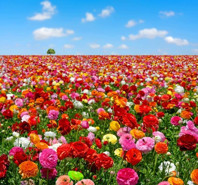 <span  class="uc_style_uc_tiles_grid_image_elementor_uc_items_attribute_title" style="color:#ffffff;">2422</span>