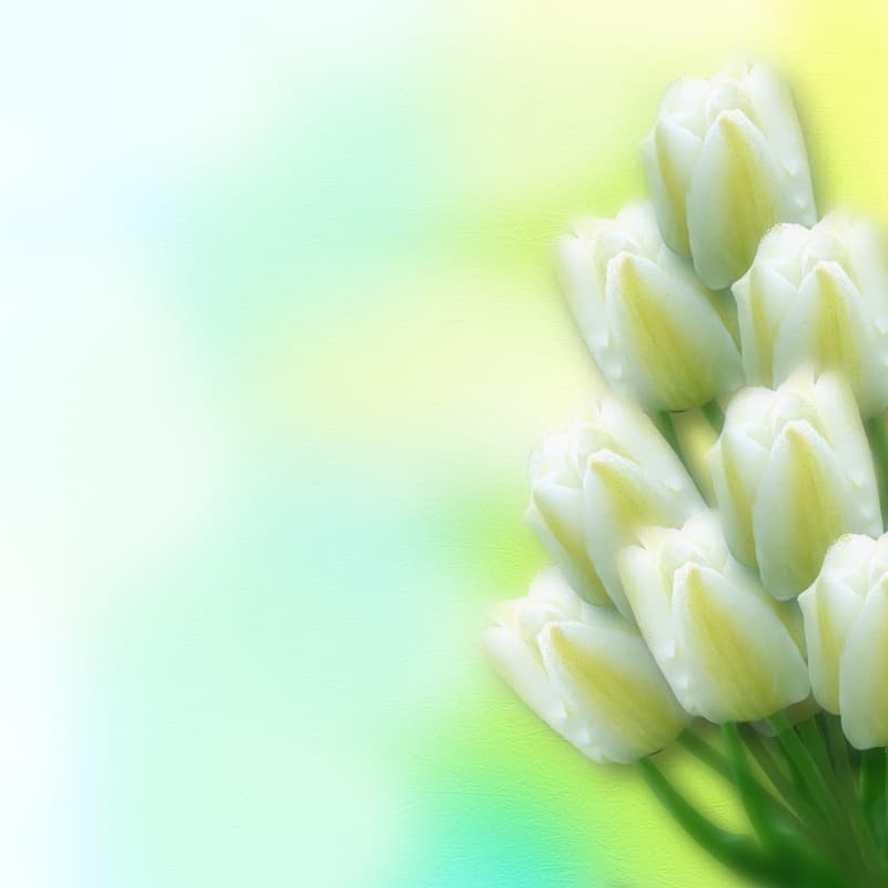 <span  class="uc_style_uc_tiles_grid_image_elementor_uc_items_attribute_title" style="color:#ffffff;">2426</span>
