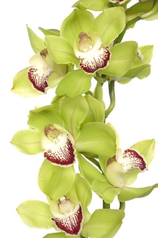 <span  class="uc_style_uc_tiles_grid_image_elementor_uc_items_attribute_title" style="color:#ffffff;">2429</span>