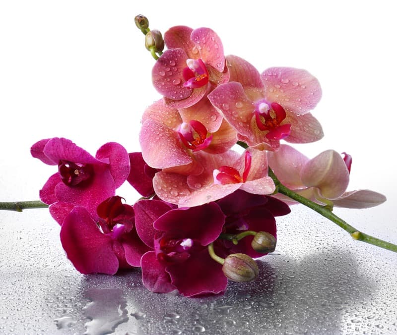 <span  class="uc_style_uc_tiles_grid_image_elementor_uc_items_attribute_title" style="color:#ffffff;">2436</span>