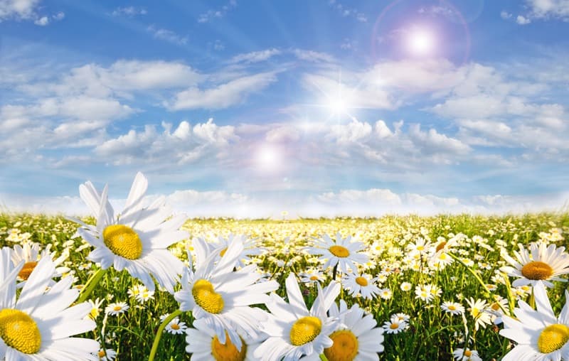 <span  class="uc_style_uc_tiles_grid_image_elementor_uc_items_attribute_title" style="color:#ffffff;">2445</span>