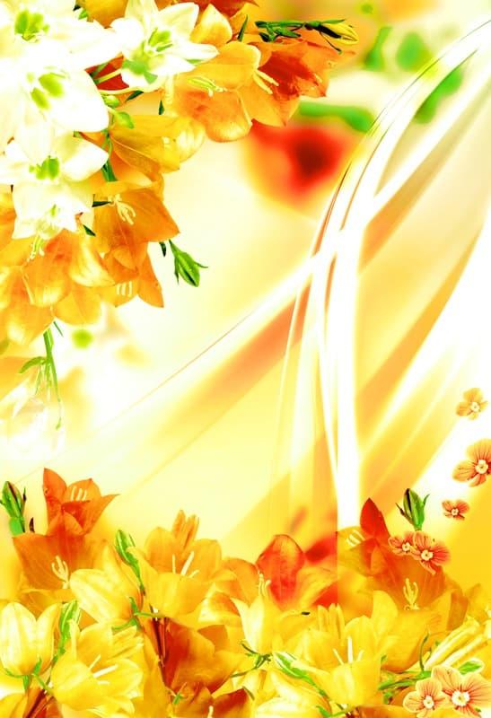 <span  class="uc_style_uc_tiles_grid_image_elementor_uc_items_attribute_title" style="color:#ffffff;">2446</span>