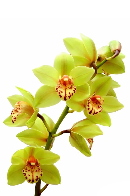 <span  class="uc_style_uc_tiles_grid_image_elementor_uc_items_attribute_title" style="color:#ffffff;">2450</span>