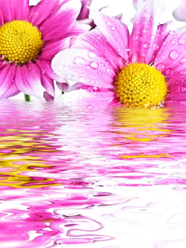 <span  class="uc_style_uc_tiles_grid_image_elementor_uc_items_attribute_title" style="color:#ffffff;">2457</span>