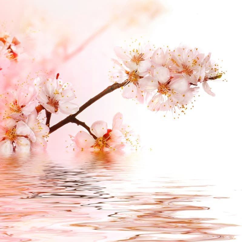 <span  class="uc_style_uc_tiles_grid_image_elementor_uc_items_attribute_title" style="color:#ffffff;">2459</span>