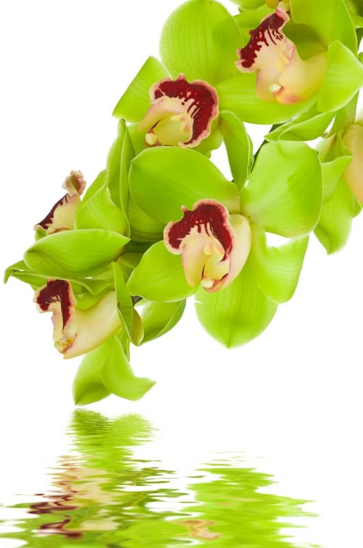 <span  class="uc_style_uc_tiles_grid_image_elementor_uc_items_attribute_title" style="color:#ffffff;">2470</span>