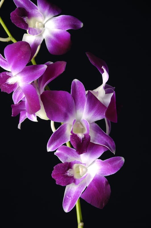 <span  class="uc_style_uc_tiles_grid_image_elementor_uc_items_attribute_title" style="color:#ffffff;">2471</span>
