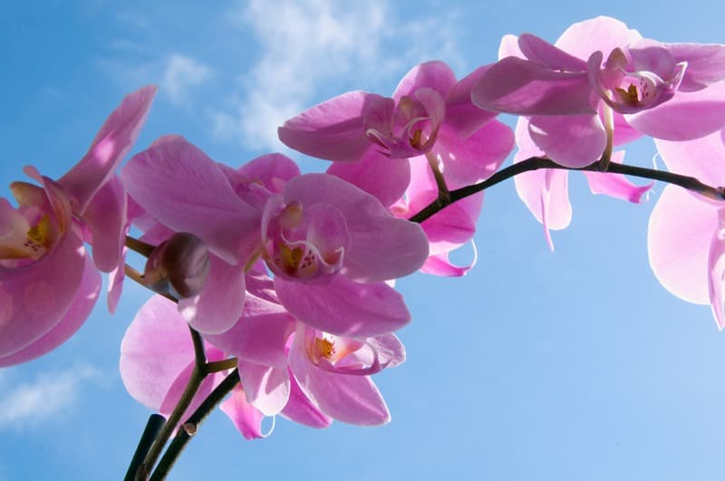 <span  class="uc_style_uc_tiles_grid_image_elementor_uc_items_attribute_title" style="color:#ffffff;">2474</span>