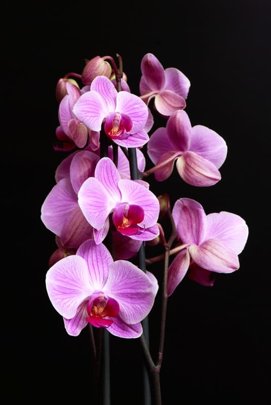 <span  class="uc_style_uc_tiles_grid_image_elementor_uc_items_attribute_title" style="color:#ffffff;">2475</span>