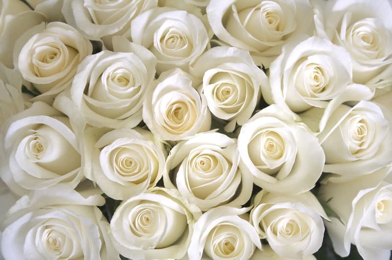 <span  class="uc_style_uc_tiles_grid_image_elementor_uc_items_attribute_title" style="color:#ffffff;">2477</span>