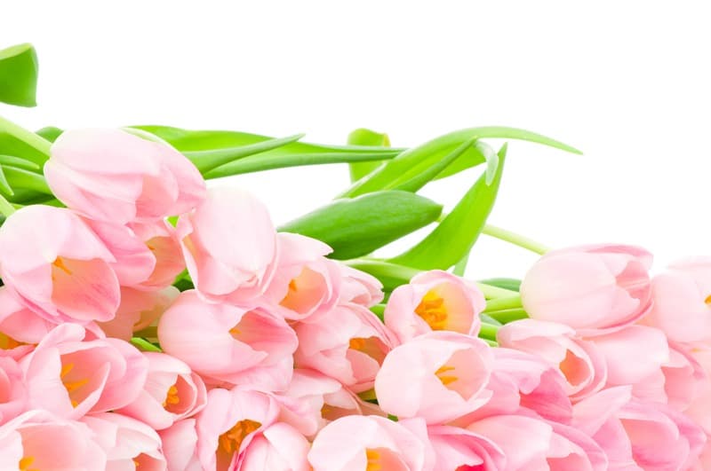 <span  class="uc_style_uc_tiles_grid_image_elementor_uc_items_attribute_title" style="color:#ffffff;">2478</span>
