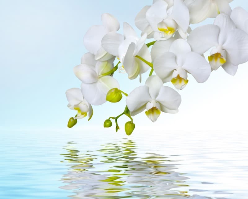 <span  class="uc_style_uc_tiles_grid_image_elementor_uc_items_attribute_title" style="color:#ffffff;">2480</span>