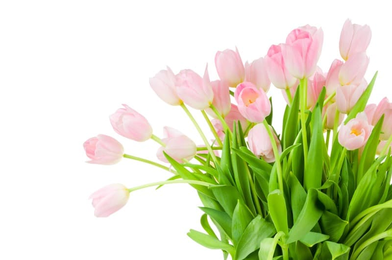<span  class="uc_style_uc_tiles_grid_image_elementor_uc_items_attribute_title" style="color:#ffffff;">2482</span>