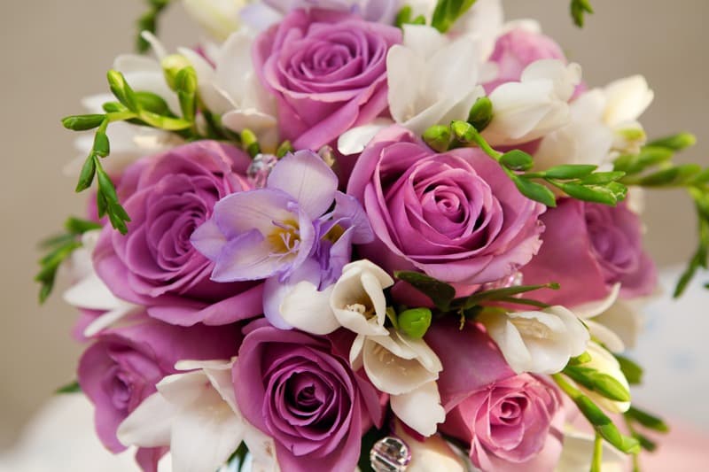 <span  class="uc_style_uc_tiles_grid_image_elementor_uc_items_attribute_title" style="color:#ffffff;">2489</span>