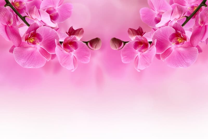 <span  class="uc_style_uc_tiles_grid_image_elementor_uc_items_attribute_title" style="color:#ffffff;">2496</span>