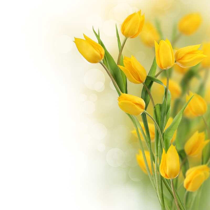 <span  class="uc_style_uc_tiles_grid_image_elementor_uc_items_attribute_title" style="color:#ffffff;">2498</span>