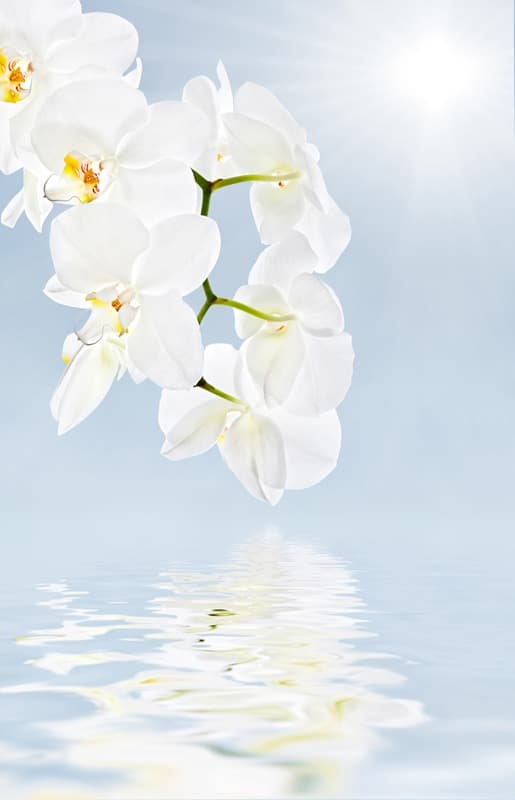 <span  class="uc_style_uc_tiles_grid_image_elementor_uc_items_attribute_title" style="color:#ffffff;">2502</span>
