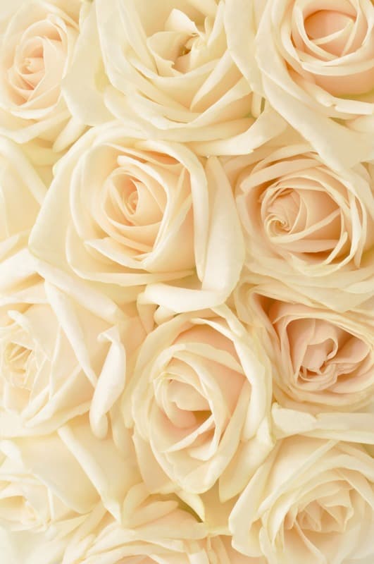 <span  class="uc_style_uc_tiles_grid_image_elementor_uc_items_attribute_title" style="color:#ffffff;">2504</span>