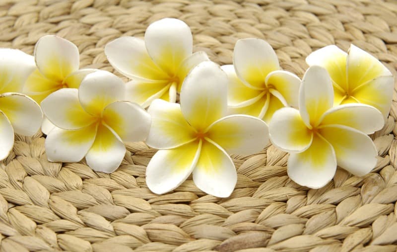 <span  class="uc_style_uc_tiles_grid_image_elementor_uc_items_attribute_title" style="color:#ffffff;">2507</span>