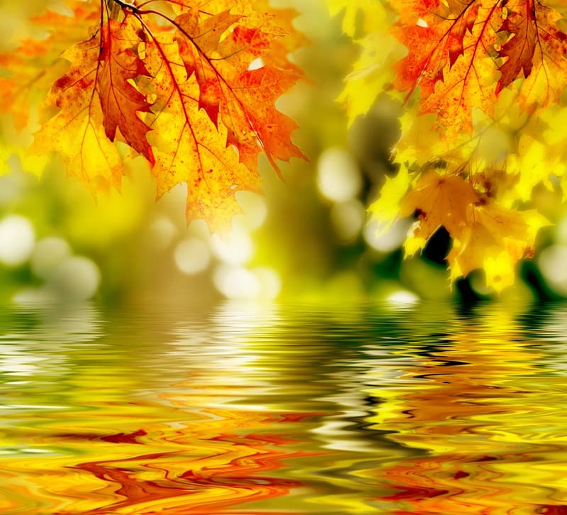 <span  class="uc_style_uc_tiles_grid_image_elementor_uc_items_attribute_title" style="color:#ffffff;">2508</span>