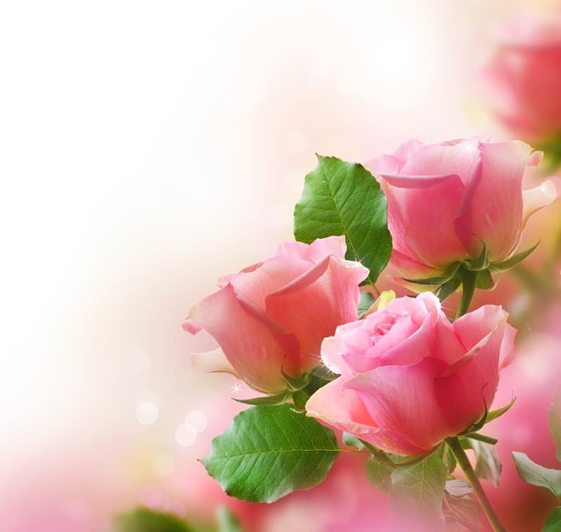 <span  class="uc_style_uc_tiles_grid_image_elementor_uc_items_attribute_title" style="color:#ffffff;">2509</span>
