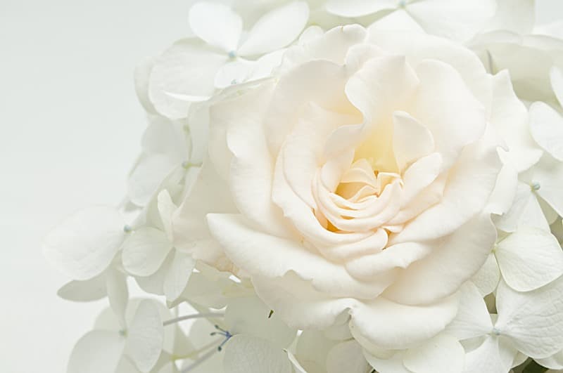 <span  class="uc_style_uc_tiles_grid_image_elementor_uc_items_attribute_title" style="color:#ffffff;">2512</span>