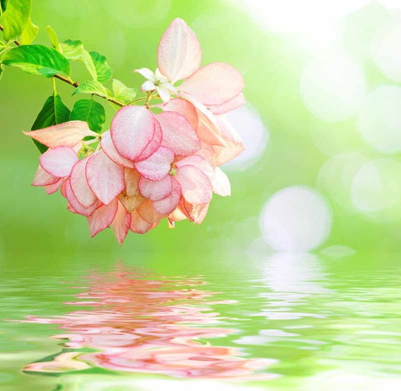<span  class="uc_style_uc_tiles_grid_image_elementor_uc_items_attribute_title" style="color:#ffffff;">2513</span>