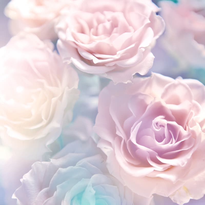 <span  class="uc_style_uc_tiles_grid_image_elementor_uc_items_attribute_title" style="color:#ffffff;">2516</span>
