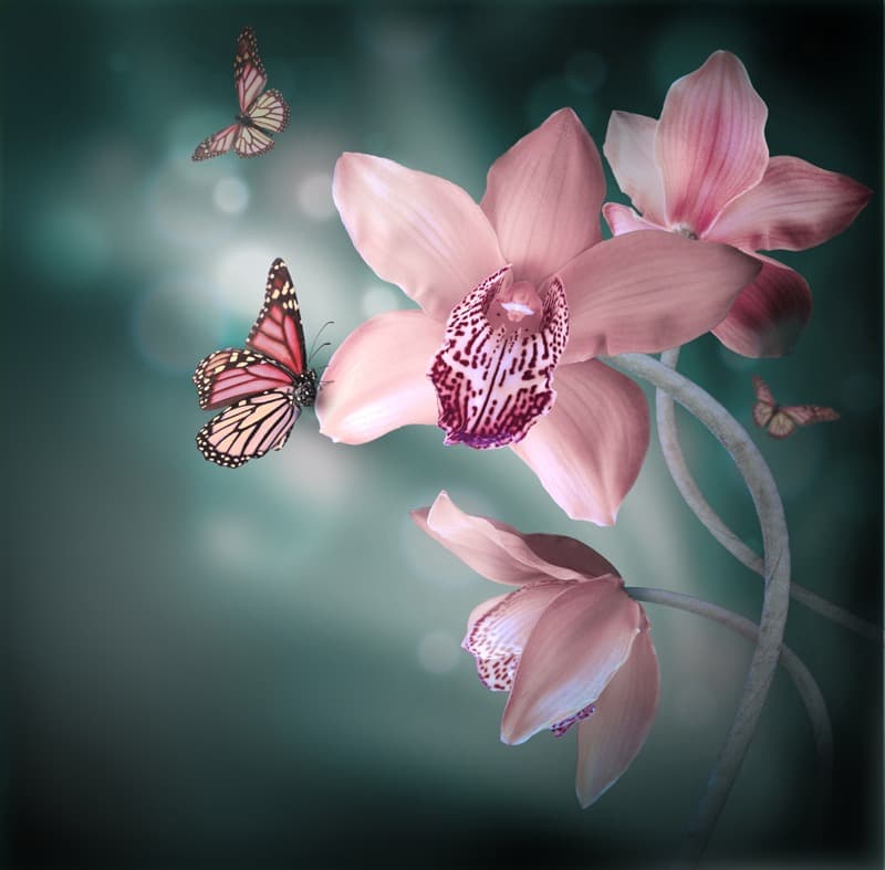 <span  class="uc_style_uc_tiles_grid_image_elementor_uc_items_attribute_title" style="color:#ffffff;">2519</span>