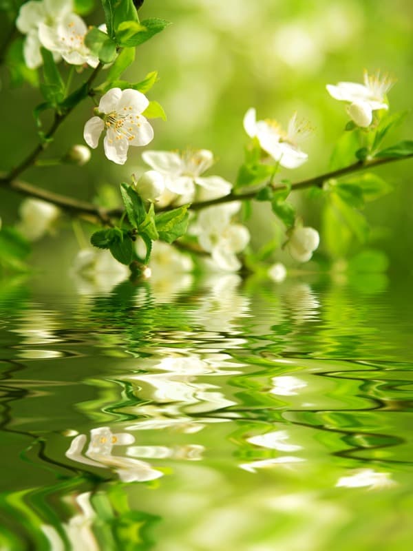 <span  class="uc_style_uc_tiles_grid_image_elementor_uc_items_attribute_title" style="color:#ffffff;">2521</span>