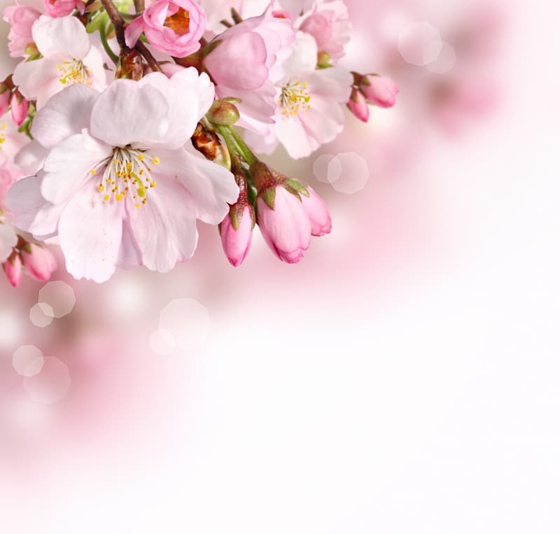 <span  class="uc_style_uc_tiles_grid_image_elementor_uc_items_attribute_title" style="color:#ffffff;">2524</span>