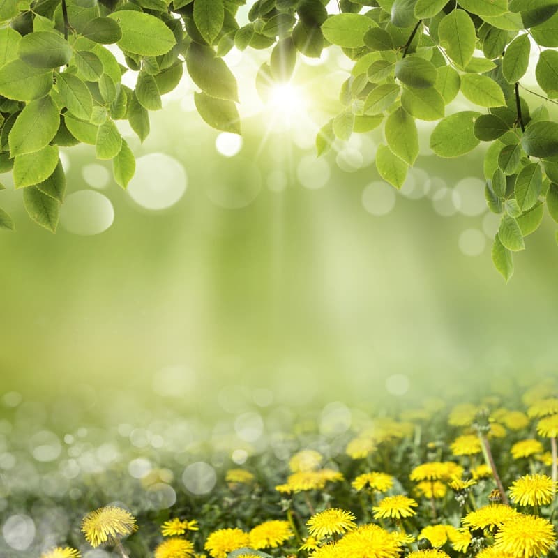 <span  class="uc_style_uc_tiles_grid_image_elementor_uc_items_attribute_title" style="color:#ffffff;">2525</span>