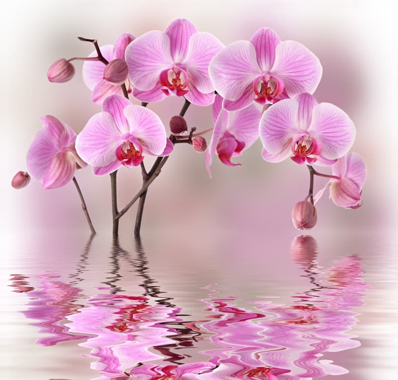 <span  class="uc_style_uc_tiles_grid_image_elementor_uc_items_attribute_title" style="color:#ffffff;">2526</span>