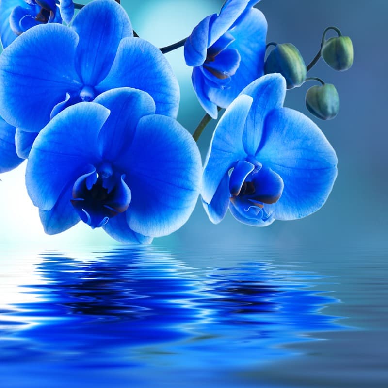 <span  class="uc_style_uc_tiles_grid_image_elementor_uc_items_attribute_title" style="color:#ffffff;">2531</span>