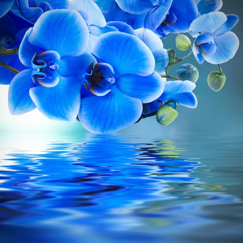 <span  class="uc_style_uc_tiles_grid_image_elementor_uc_items_attribute_title" style="color:#ffffff;">2532</span>
