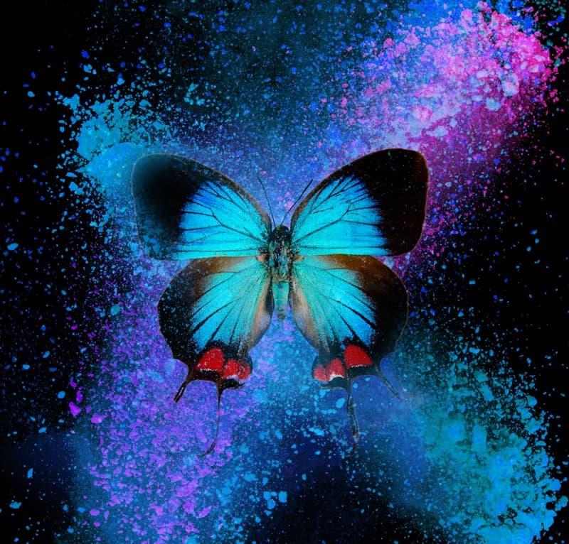 <span  class="uc_style_uc_tiles_grid_image_elementor_uc_items_attribute_title" style="color:#ffffff;">2533</span>