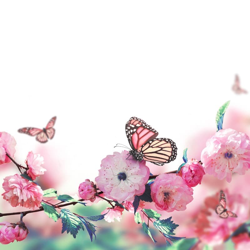 <span  class="uc_style_uc_tiles_grid_image_elementor_uc_items_attribute_title" style="color:#ffffff;">2536</span>
