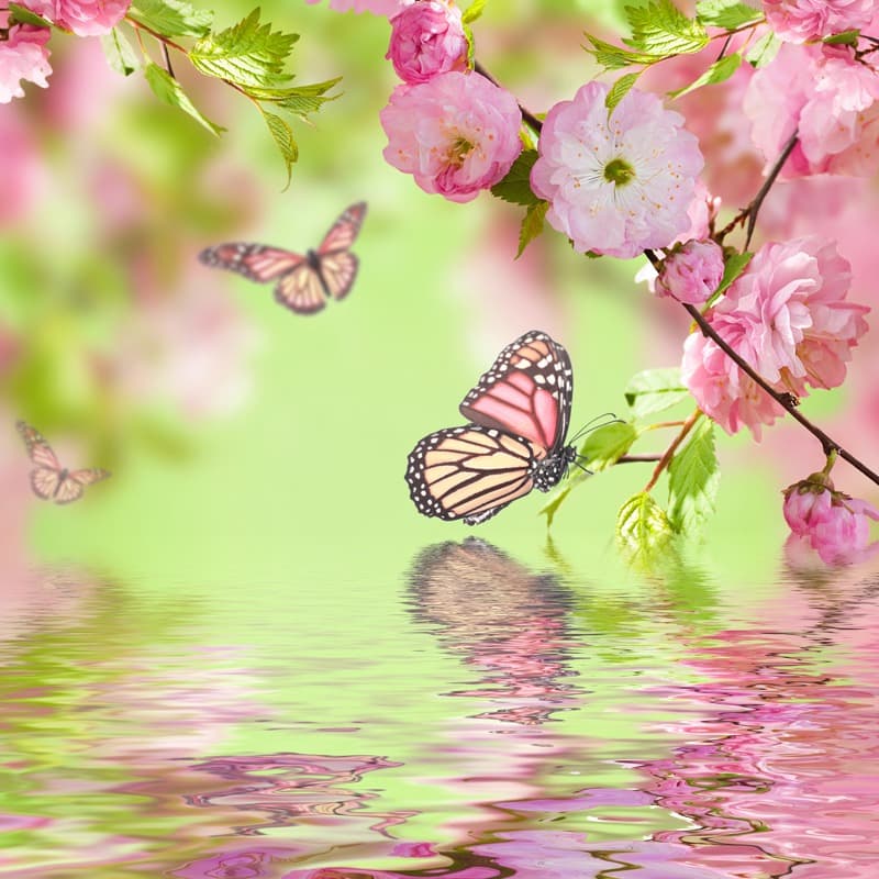 <span  class="uc_style_uc_tiles_grid_image_elementor_uc_items_attribute_title" style="color:#ffffff;">2538</span>
