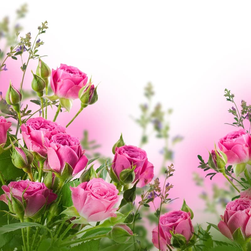 <span  class="uc_style_uc_tiles_grid_image_elementor_uc_items_attribute_title" style="color:#ffffff;">2539</span>