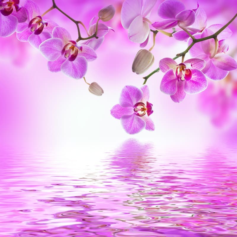 <span  class="uc_style_uc_tiles_grid_image_elementor_uc_items_attribute_title" style="color:#ffffff;">2546</span>
