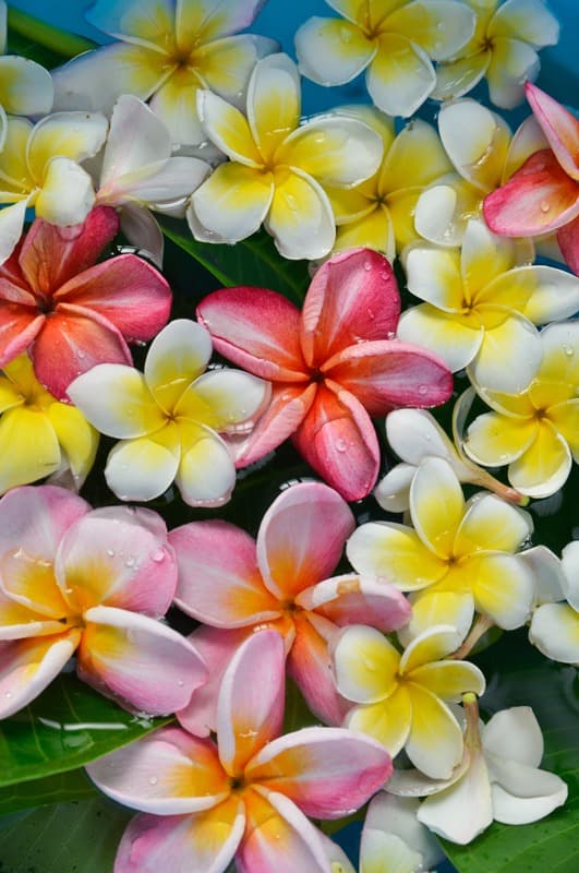 <span  class="uc_style_uc_tiles_grid_image_elementor_uc_items_attribute_title" style="color:#ffffff;">2549</span>