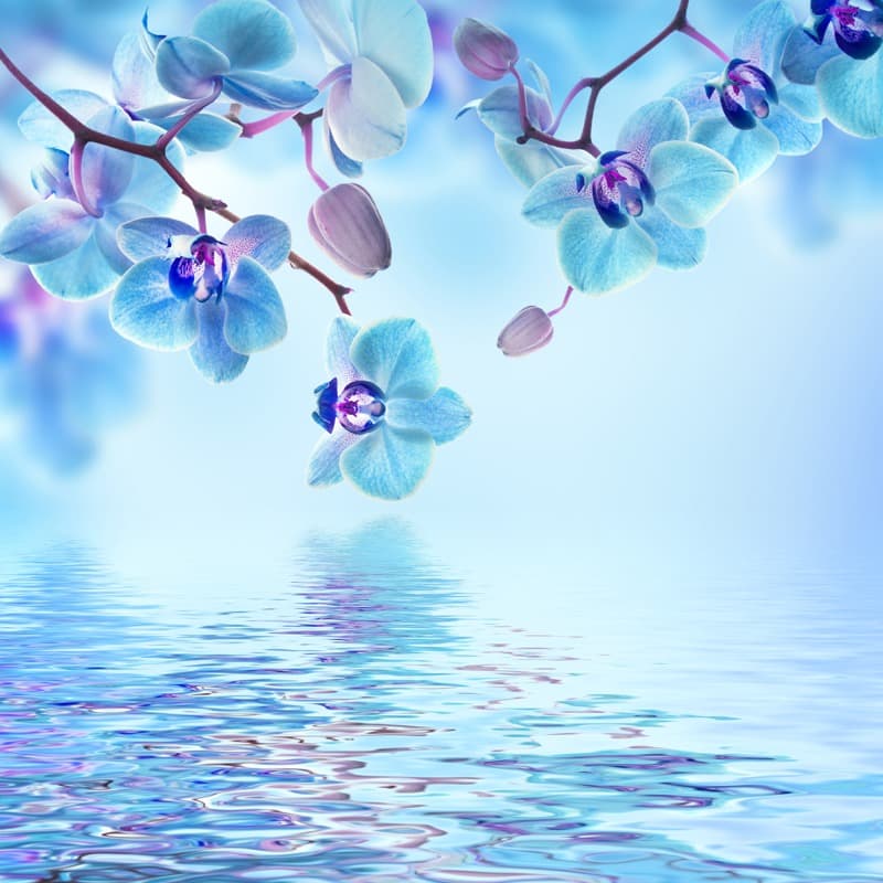 <span  class="uc_style_uc_tiles_grid_image_elementor_uc_items_attribute_title" style="color:#ffffff;">2550</span>