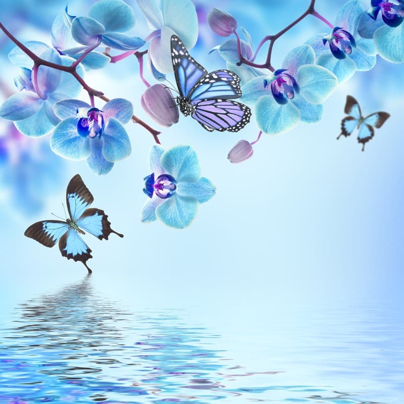 <span  class="uc_style_uc_tiles_grid_image_elementor_uc_items_attribute_title" style="color:#ffffff;">2551</span>